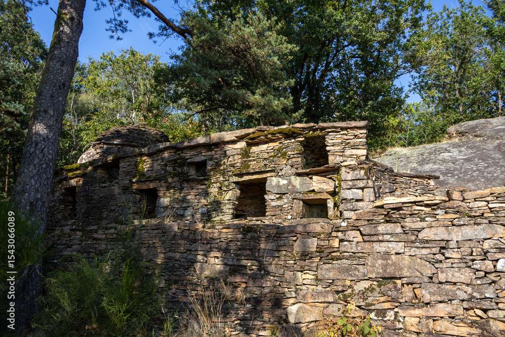 Naklejka premium the ruins of the house