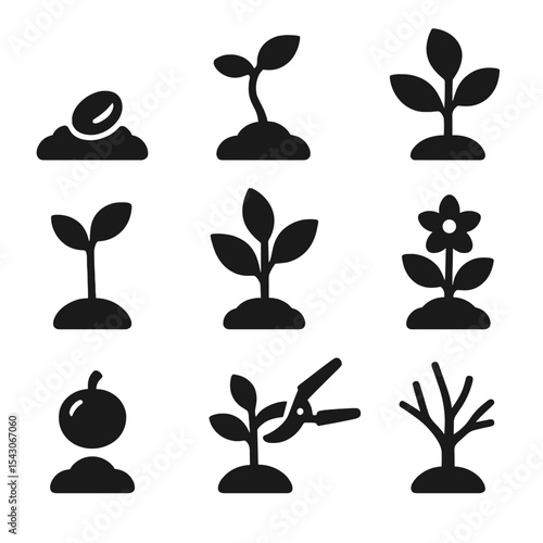 Plant Growth Icons. Solid style icons of plant growth stages: seed in soil, seedling sprouting, first leaf, multiple leaves,