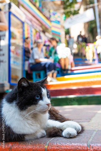 Canvas Print balat istambul