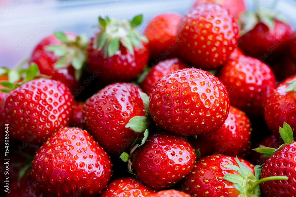 Red strawberries freshly plucked in bowl as healthy fruit jam ingredient in summer 1 Red strawberries freshly plucked in bowl as healthy fruit jam ingredient in summer 1