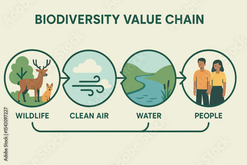 Biodiversity Value Chain. Vector illustration of biodiversity value chain showing how wildlife, clean air, water, and people are