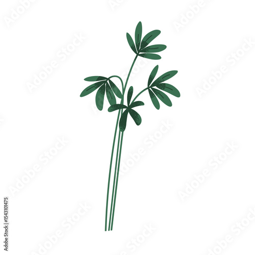 Leaves on stem, exotic green foliage plant. Tropical leafy branches, fresh leaf greenery. Botanical organic verdure, vegetation, decoration. Flat vector illustration isolated on white background