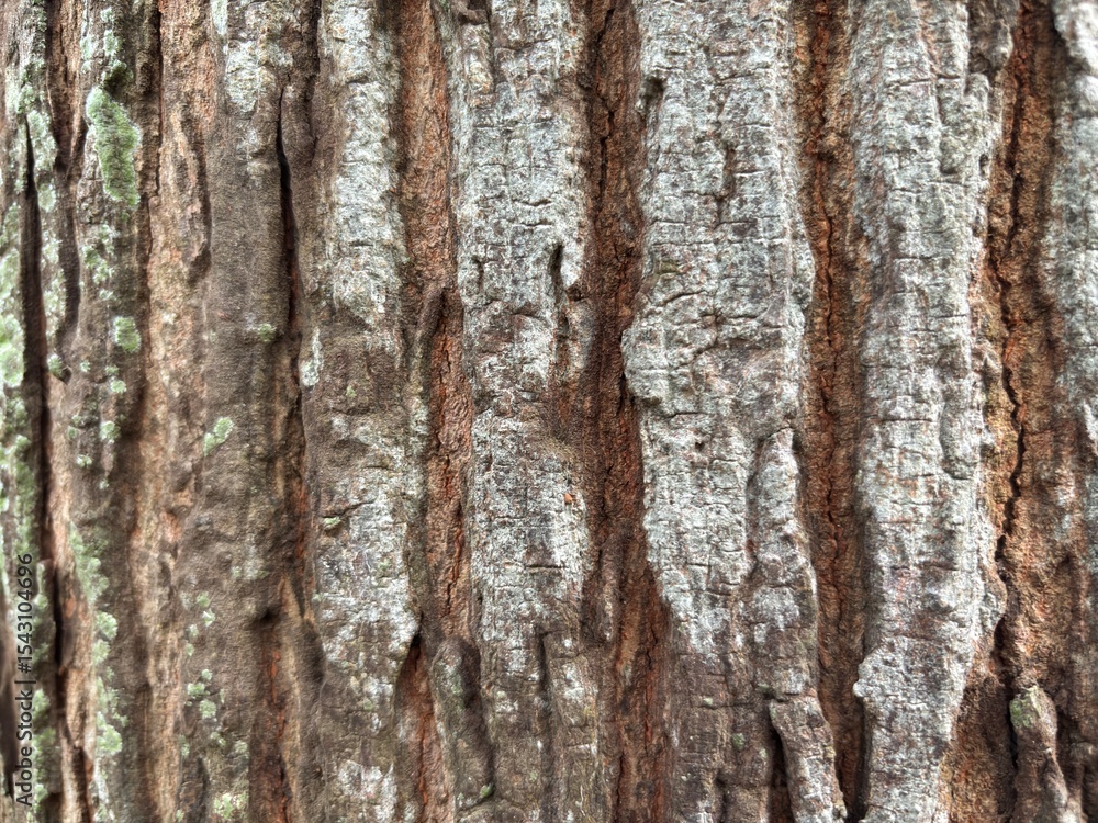 Obraz premium The rough, striped texture of tree bark, with deep vertical patterns and natural cracks, is perfect for backgrounds, natural textures, or design elements that require an organic, rustic touch.