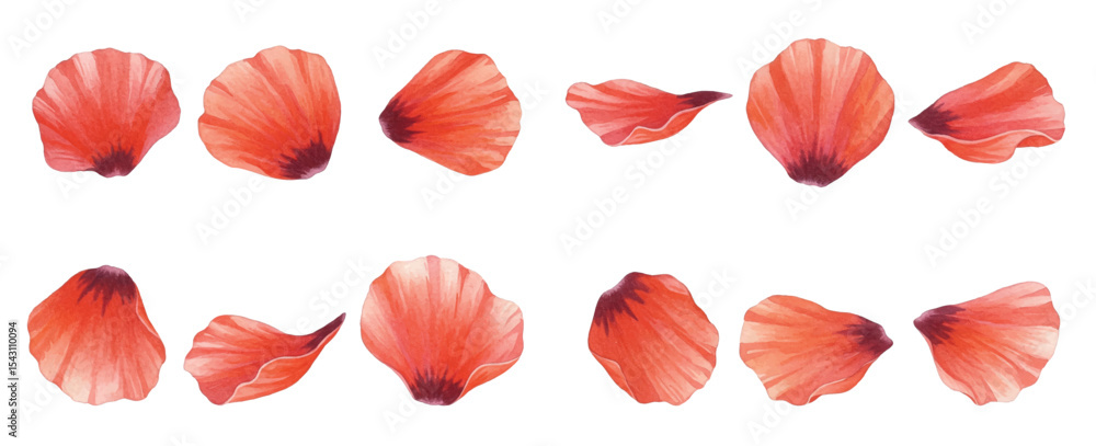 Fototapeta premium Adobe Illustrator Artwork