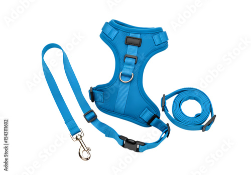 Teal Dog Harness and Leash Set isolated on transparent baackground