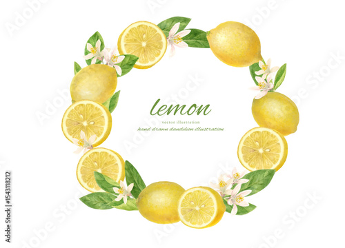 lemon.ai