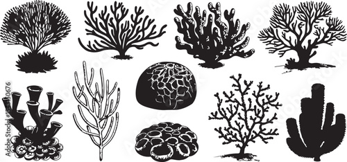 Coral and Sponge Silhouettes – Marine Organism Vector Collection