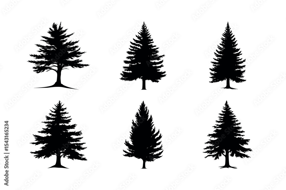 Obraz premium Six evergreen tree silhouettes collection