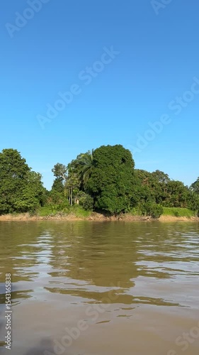 River in the forest 