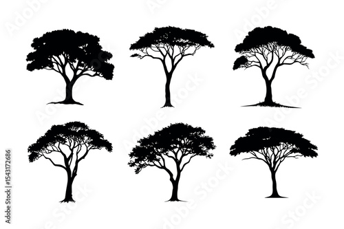 Six diverse tree silhouettes collection