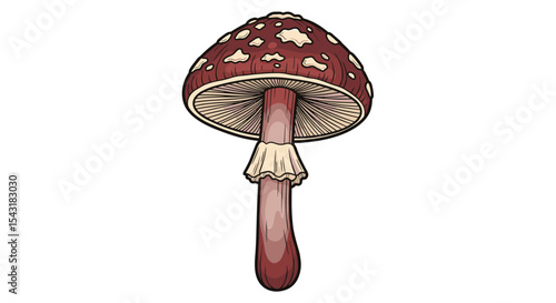 Understanding Mushroom Identification A Guide to Identifying Different Types of Wild Mushrooms