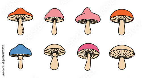 Colorful Mushrooms A Guide to Identify Different Types of Mushrooms in the Forest