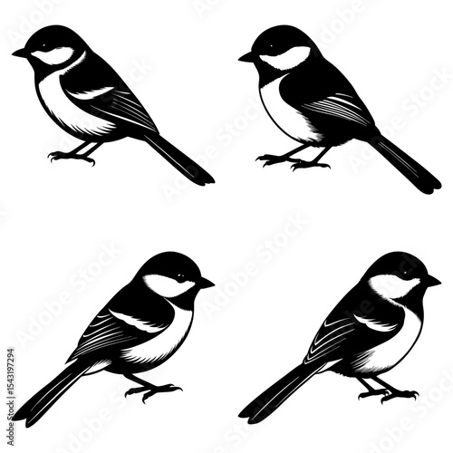 Four black and white chickadee birds in various poses isolated on a white background in vector format