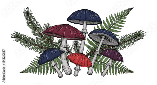 Mystical Forest Fungi Gathering A Colorful Array of Wild Mushrooms in Nature