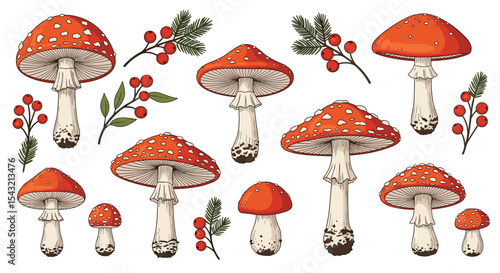 Exploring the World of Fungi A Detailed Look at Various Mushroom Species