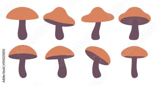 Various Shapes and Orientations of Edible Mushrooms for Culinary Use and Food Illustration