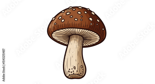 A Comprehensive Guide to Identifying and Understanding the Various Edible Mushroom Species Found Worldwide