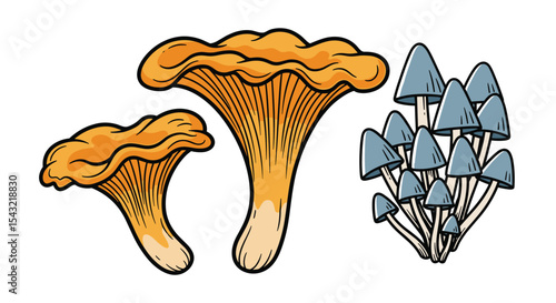 Exploring Edible and Poisonous Mushrooms A Comprehensive Guide to Identifying Fungi in the Wild