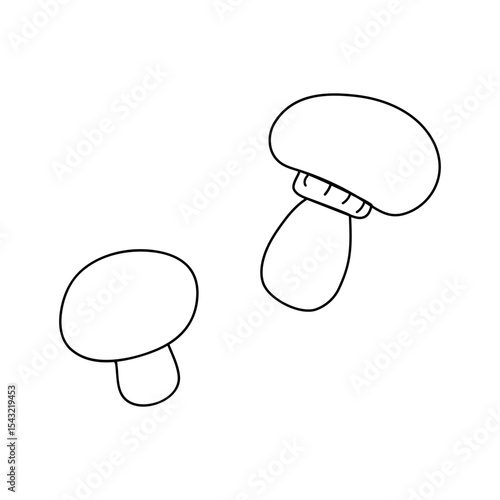 Mushrooms growing naturally in a forest setting, showcasing unique shapes and textures during daylight hours