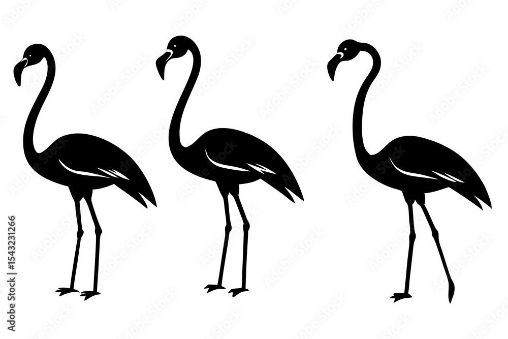 Fototapeta premium set of Flamingo silhouette vector illustration