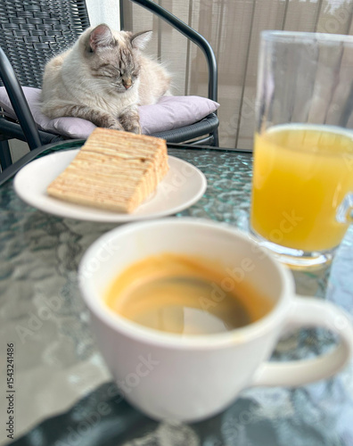 Coffee, cake, juice and a cat sleeping on a chair