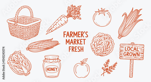 Vintage farmers market food set. Organic garden harvest. Carrot, corn, cabbage, apple, honey, basket. Rustic hand drawn line art. Retro design for grocery label, menu, and branding.