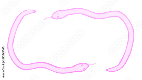 Pink snake watercolor frame design