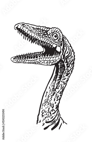 Graphical portrait of Ornithomimus  isolated on white background,vector illustration