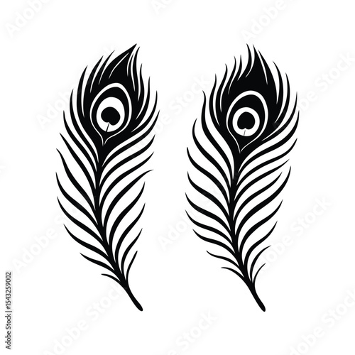 Beautiful Peacock Feather Silhouette Design, Elegant vector silhouette of two beautiful peacock feathers with intricate detail, perfect for decoration and textiles