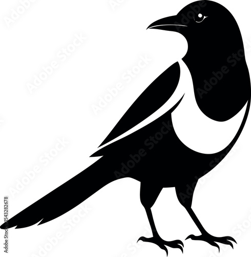 magpie bird silhouette 