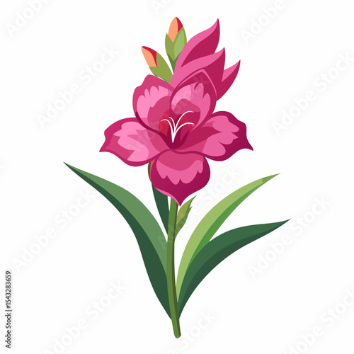 pink lily flower