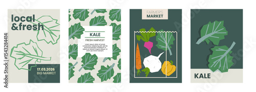 Fresh kale illustration. Simple posters with leafy greens for farmers market advertising. Vector templates with copyspace. Set of harvested food in minimal hand drawn and flat style.
