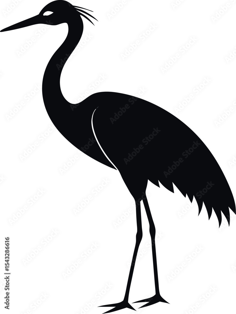 Obraz premium crane bird silhouette 