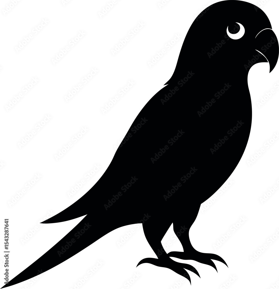Fototapeta premium parakeet bird silhouette 
