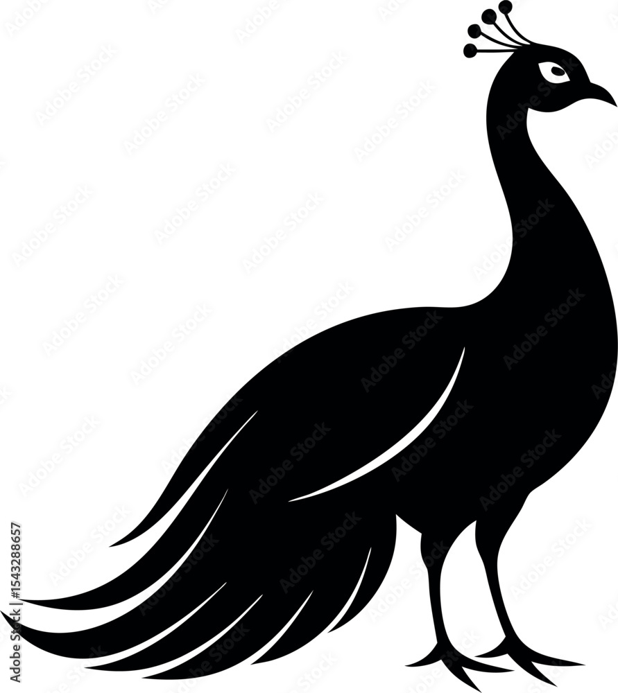 Fototapeta premium peacock silhouette