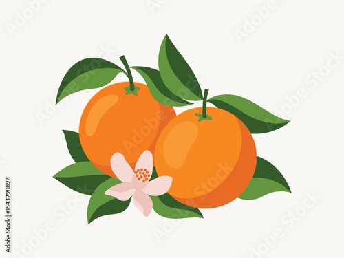 Vibrant Vector Illustration of Two Oranges with Blossom