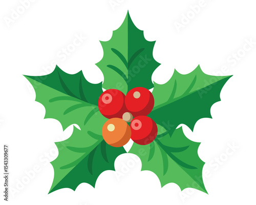 christmas holly with red berries