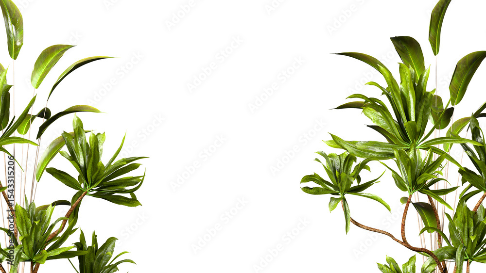 Obraz premium greenery frame botanical decor