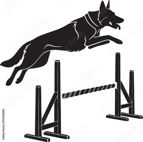 German shepherd dog jumping agility hurdle