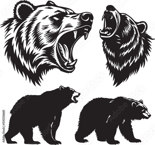 Grizzly bear heads and full body illustrations