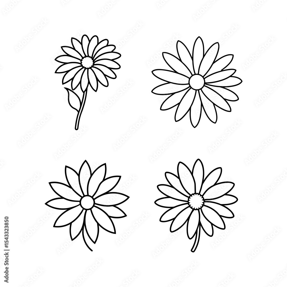 Daisy with detailed petals line art illustration. Daisy with detailed petals line art illustration.