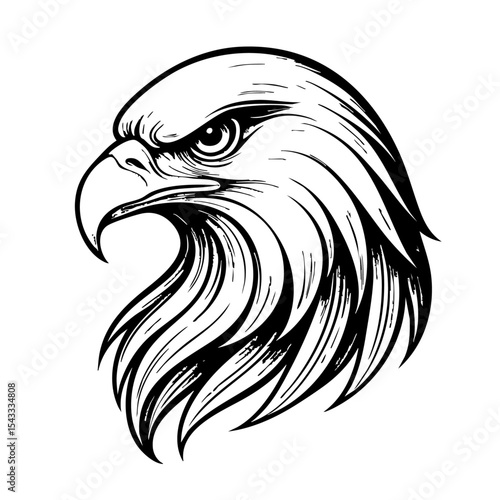 head of eagle vector