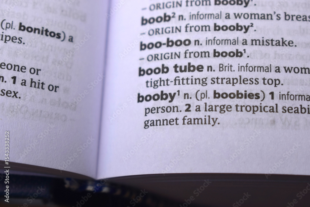 Fototapeta premium Close Up Of English Dictionary Page With Word - Booby