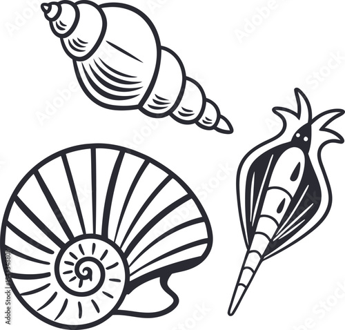 Vector illustration of a cartoon snail and its shell, a design inspired by nature and sea animals