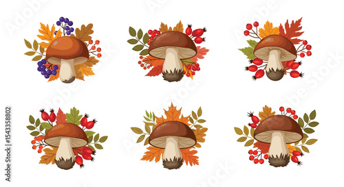 Autumn Mushroom Illustrations with Berries and Leaves for Decoration or Seasonal Design