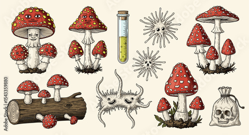 Poisonous Mushrooms and Scary Microscopic Creatures: A Creepy Collection of Flora and Fauna