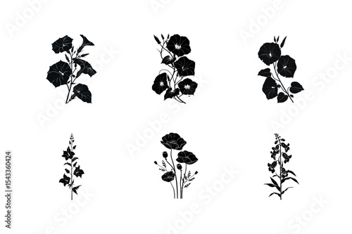 Six black silhouettes of different flowers