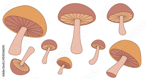 A Collection of Diverse Mushrooms Fungi Shapes and Sizes for Culinary and Scientific Exploration