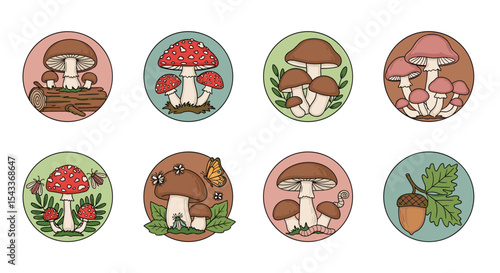 A Collection of Wild Mushrooms and Acorns in Charming Illustrated Round Designs