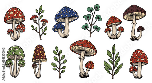 A Beautiful Collection of Mushrooms and Plants Artistically Illustrated with Intricate Details